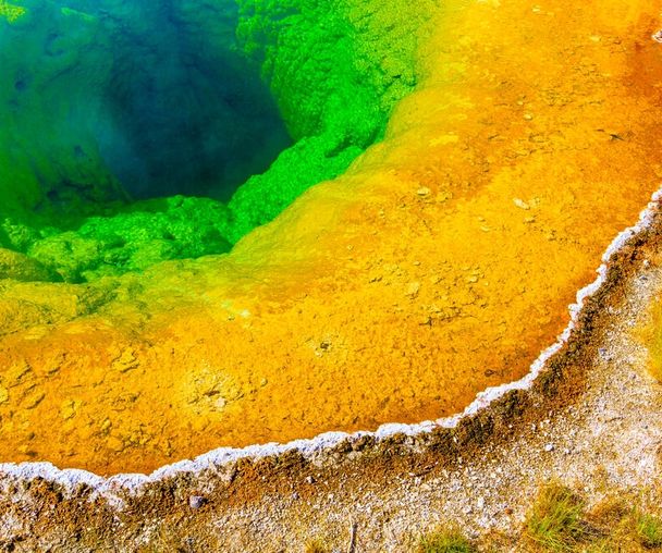 activity_detail_image