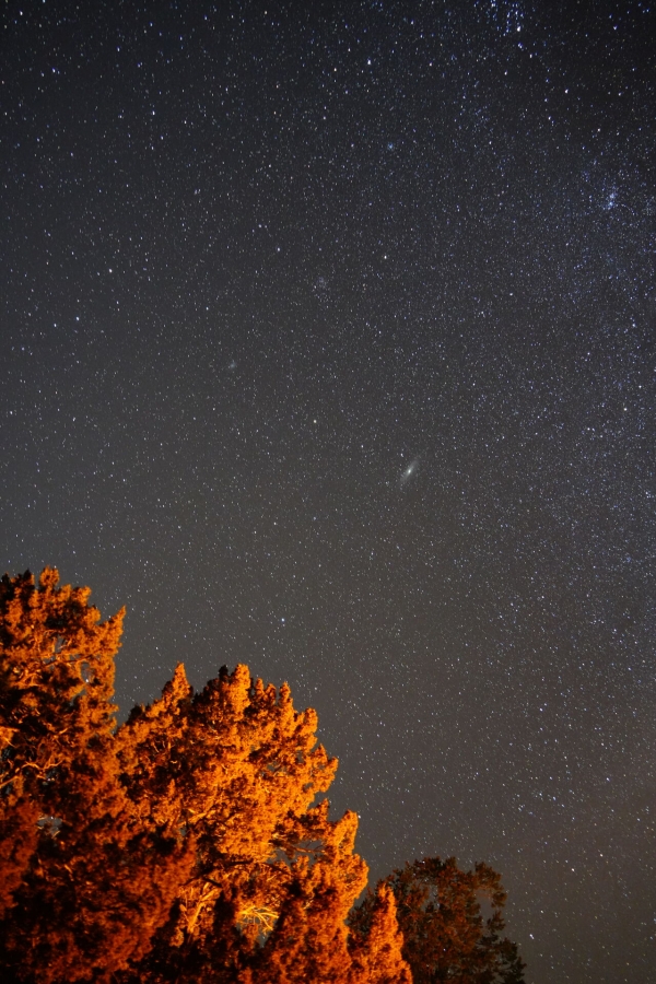 [오버랜드] [당일] 그랜드캐년 + 홀슈밴드 + 엔텔롭캐년 + 미드호수 일일 투어