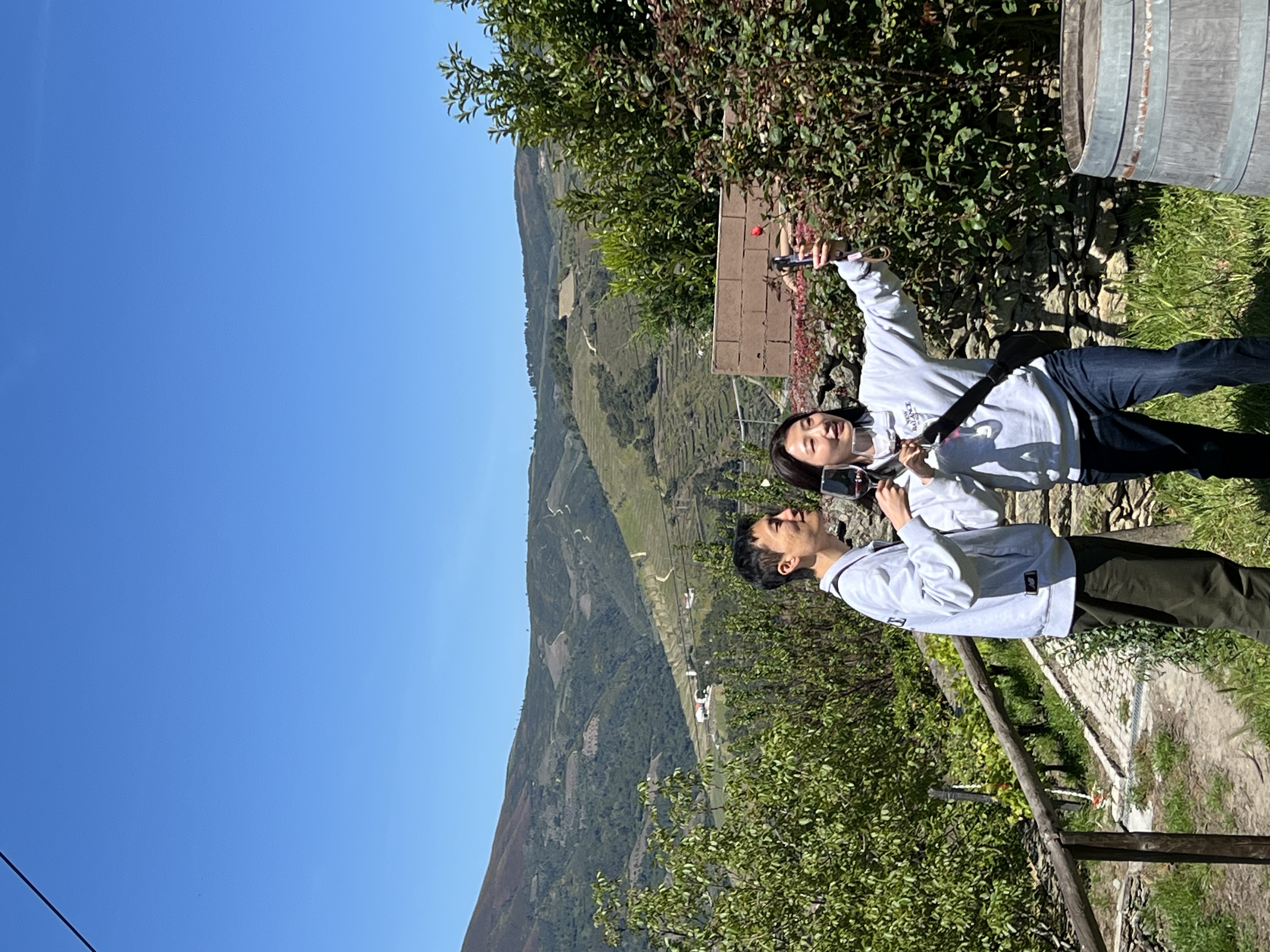 [독점할인] [로투스] 포르투 도우루 밸리 와이너리 투어