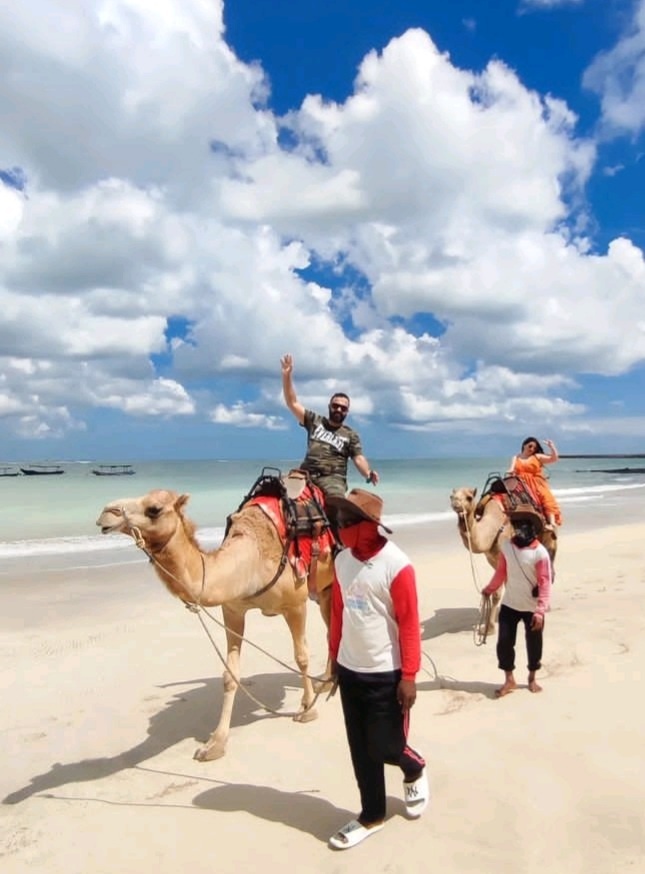 발리 켈란 비치 낙타 타기 라이딩 & 올루와투 투어