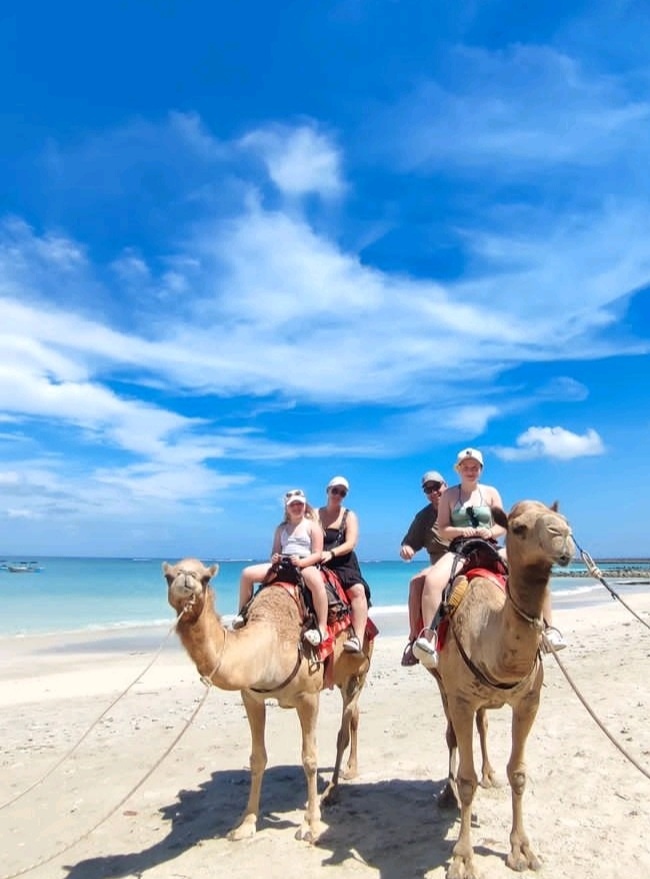 발리 켈란 비치 낙타 타기 라이딩 & 올루와투 투어