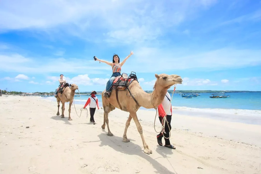 발리 켈란 비치 낙타 타기 라이딩 & 올루와투 투어