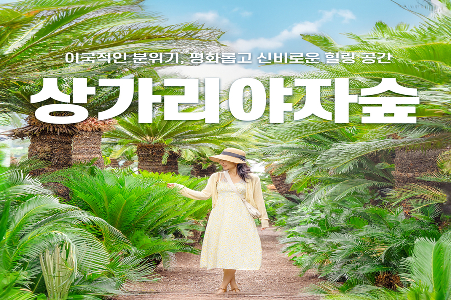 제주 애월 상가리야자숲 입장권