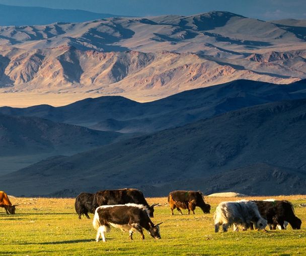 activity_detail_image