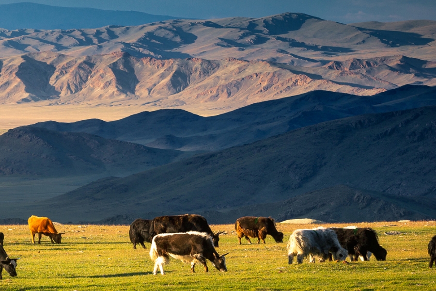 [노라투어] [4박5일] 몽골 온천욕부터 자연까지 힐링을 더한 코스 중부몽골 힐링 투어