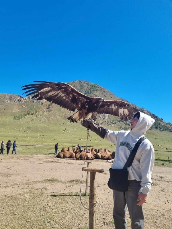[특가] [5박6일] 몽골의 중부 스팟을 모두 담은 몽골 정복 투어