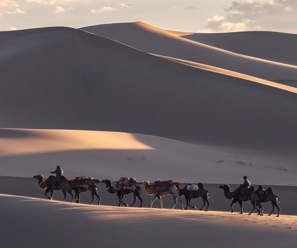 activity_detail_image