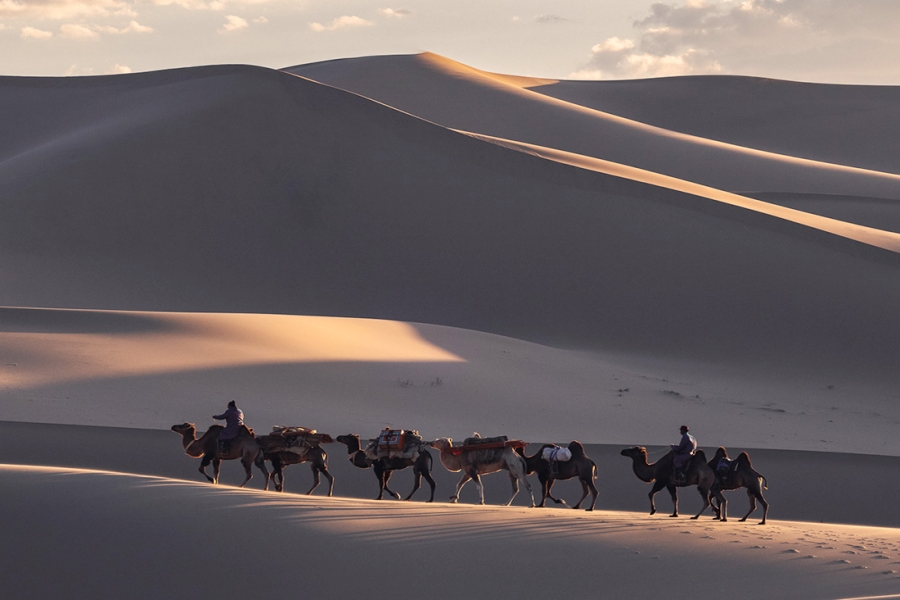 [노라투어] [6박7일] THE자연 코스 고비사막 코스 모음에 테를지까지!