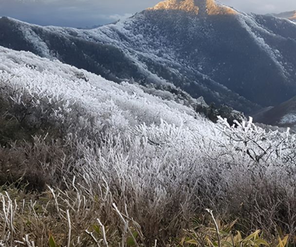 activity_detail_image