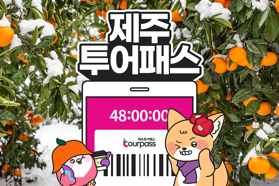 [최대 13% 프로모션] 제주투어패스 프리패스 자유이용권