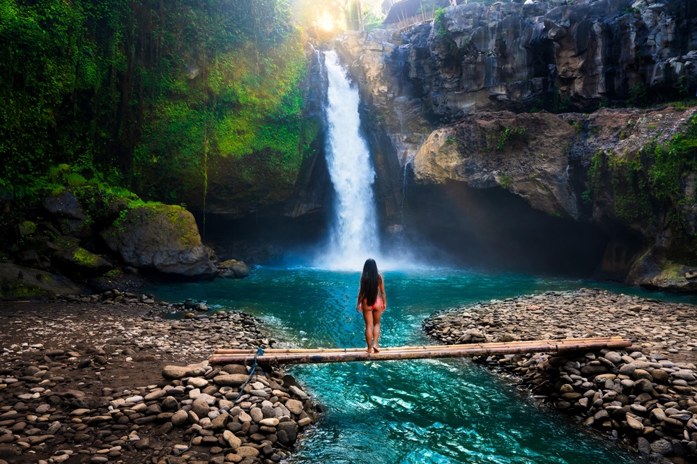 발리 우붓 올인원 투어 (몽키 포레스트, 사원, 폭포 & 정글 스윙)