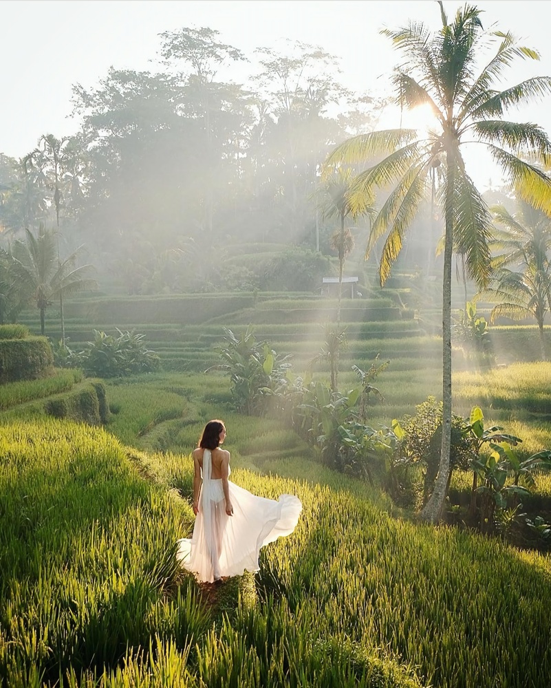 발리 우붓 올인원 투어 (몽키 포레스트, 사원, 폭포 & 정글 스윙)