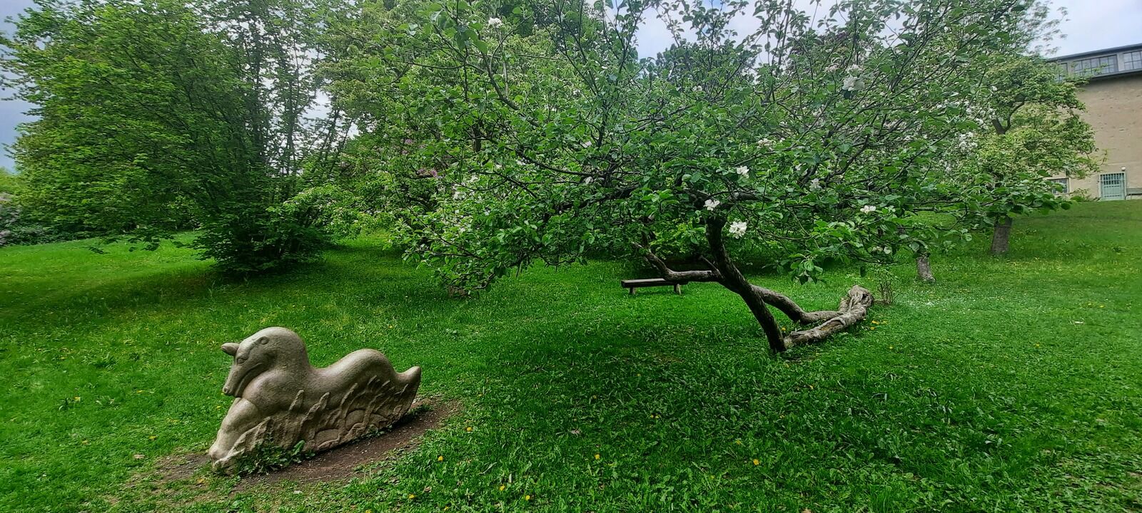 오슬로 뭉크 박물관 도슨트 투어 & 절규 언덕 산책 (박물관 티켓 포함)