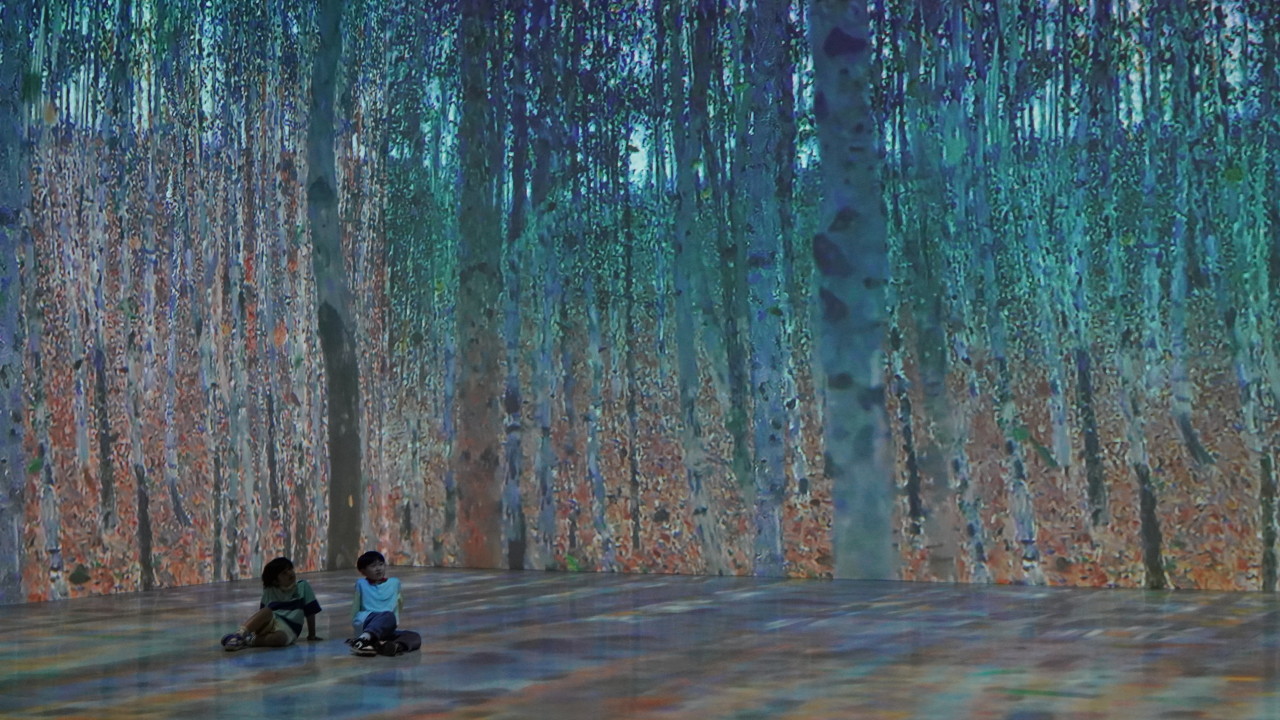 충북 증평 벨포레 미디어아트센터 입장권