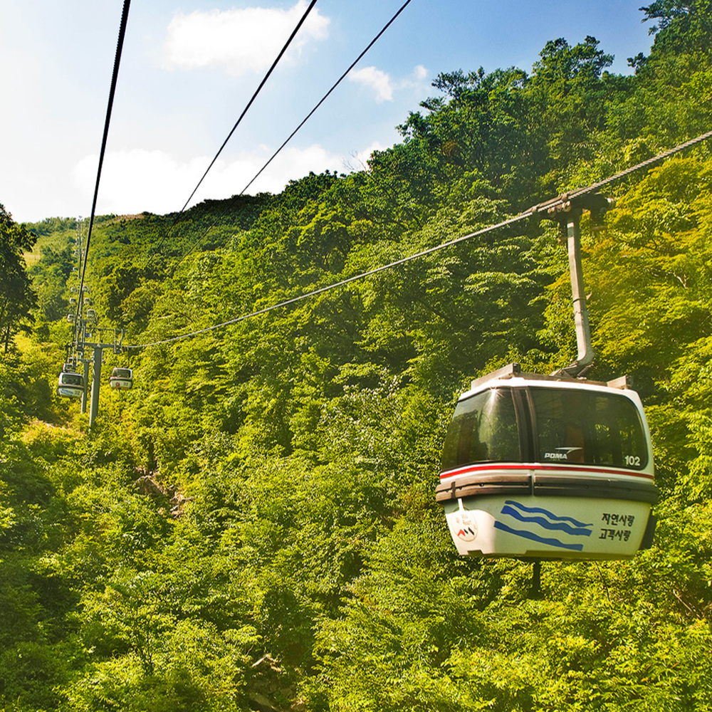 전북 무주 덕유산 곤도라 탑승권 (3~6월)