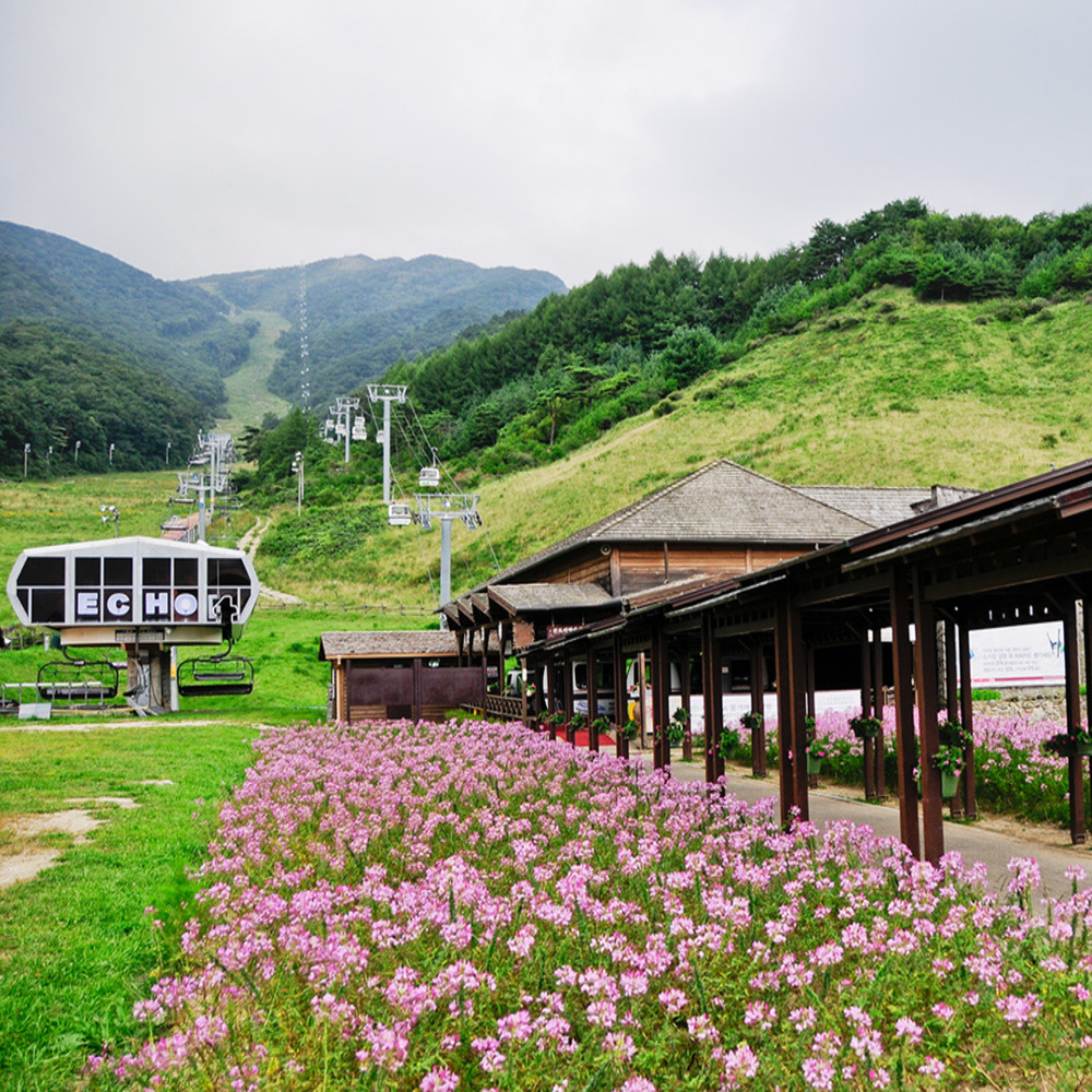전북 무주 덕유산 곤도라 탑승권 (3~6월)