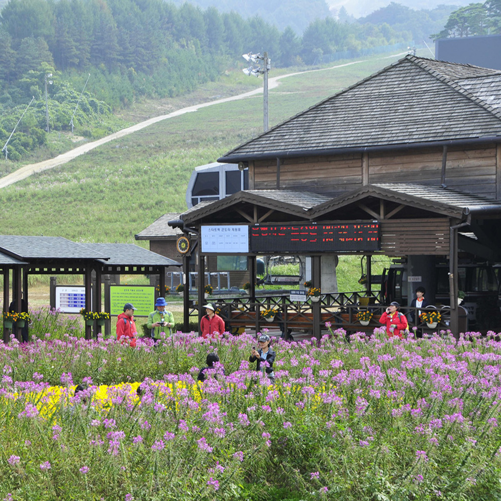 전북 무주 덕유산 곤도라 탑승권 (3~6월)