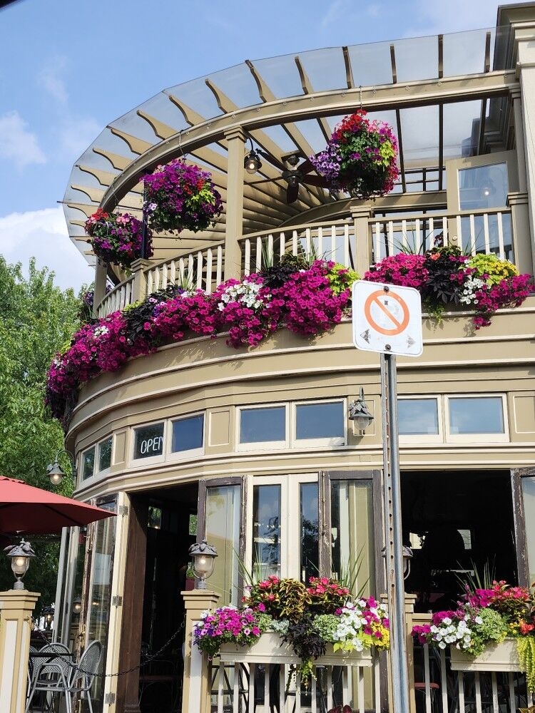 activity_detail_image