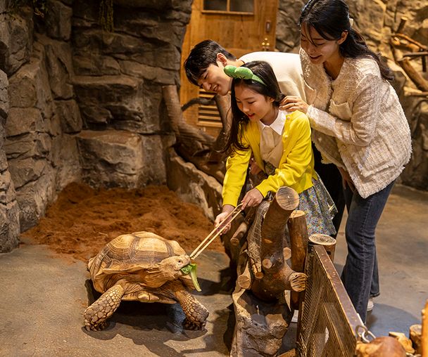 activity_detail_image