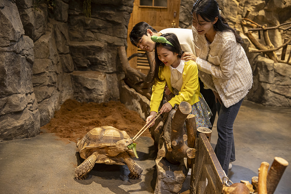ソウル 永登浦(ヨンドゥンポ)タイムズスクエアZOOLUNG ZOOLUNG(ズーロンズーロン)室内動物園 入場チケット