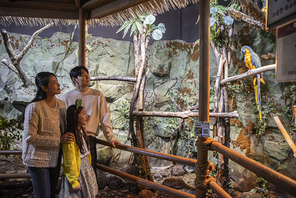 ソウル 永登浦(ヨンドゥンポ)タイムズスクエアZOOLUNG ZOOLUNG(ズーロンズーロン)室内動物園 入場チケット