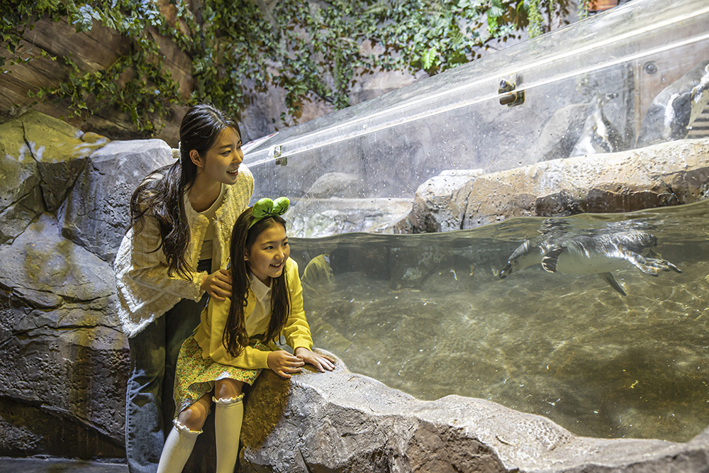 ソウル 永登浦(ヨンドゥンポ)タイムズスクエアZOOLUNG ZOOLUNG(ズーロンズーロン)室内動物園 入場チケット