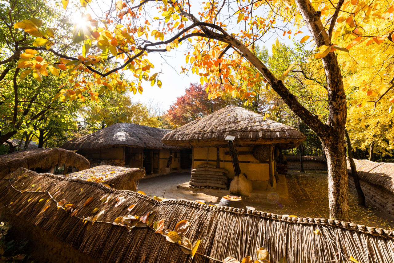 용인 한국민속촌 자유이용권
