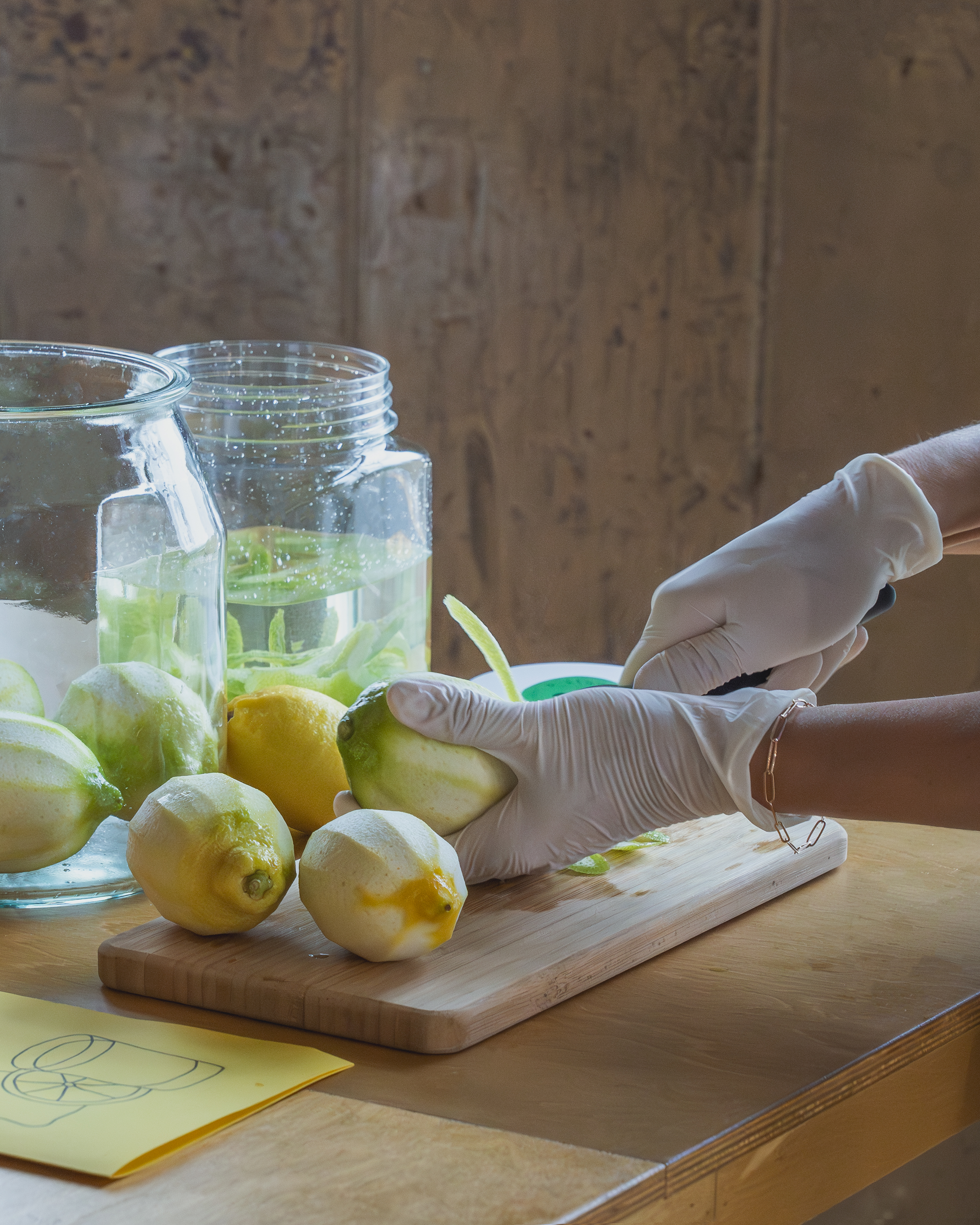 제주 리몬첼로 & 레몬청 만들기 원데이 클래스
