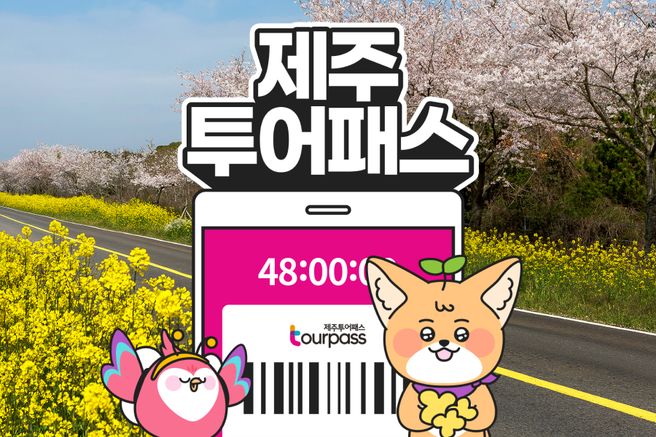 제주투어패스 프리패스 자유이용권