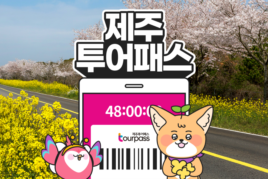 제주투어패스 프리패스 자유이용권