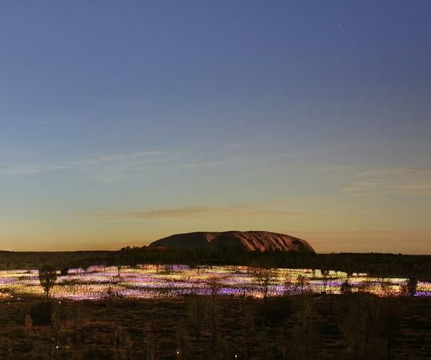 activity_detail_image