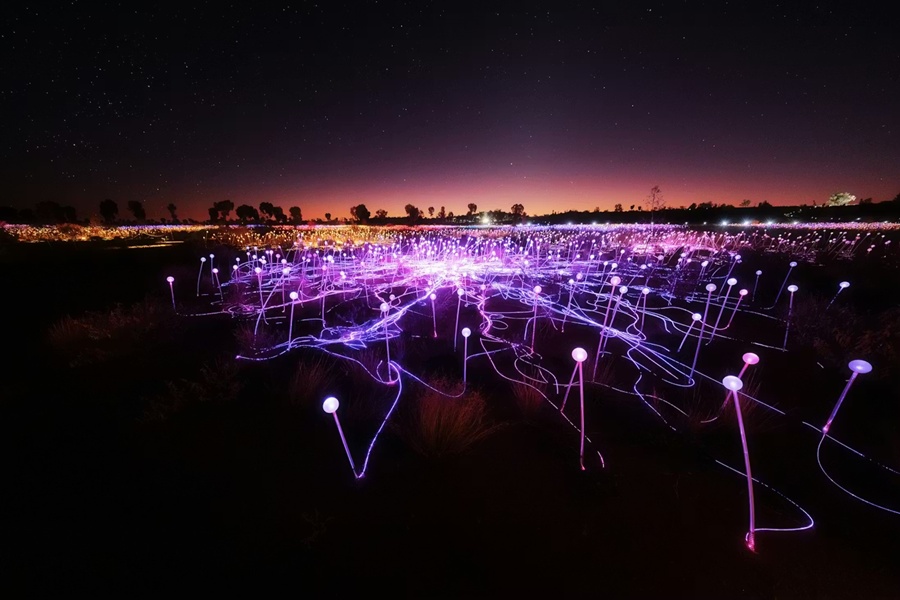 Uluru Field of Light Tour