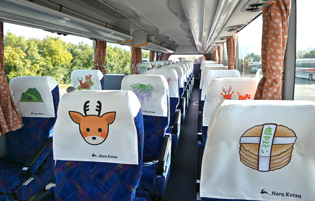 Nara Half-Day Tour (Deer Park, Todai-ji Temple, Kasuga Taisha Shrine / English Guide)