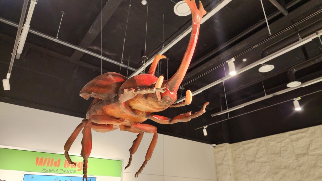 activity_detail_image