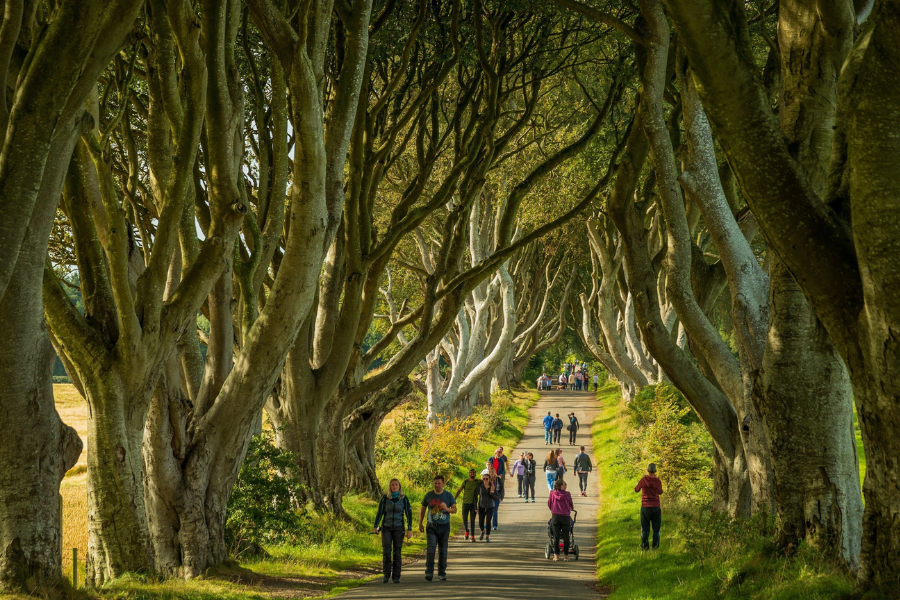 activity_detail_image