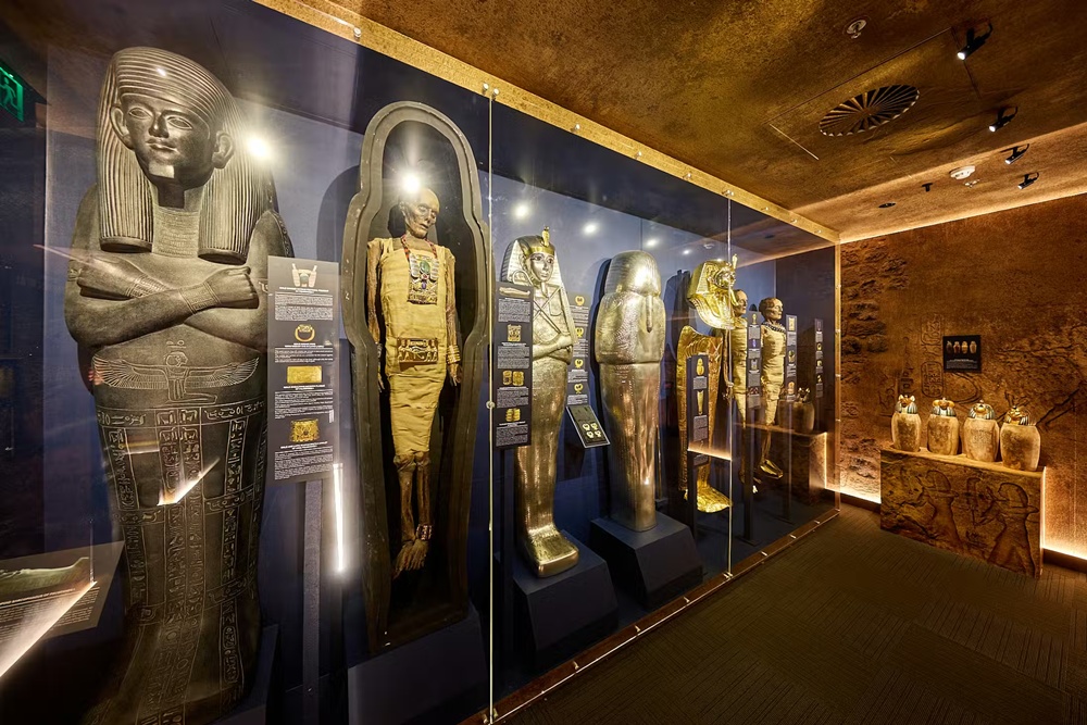 activity_detail_image