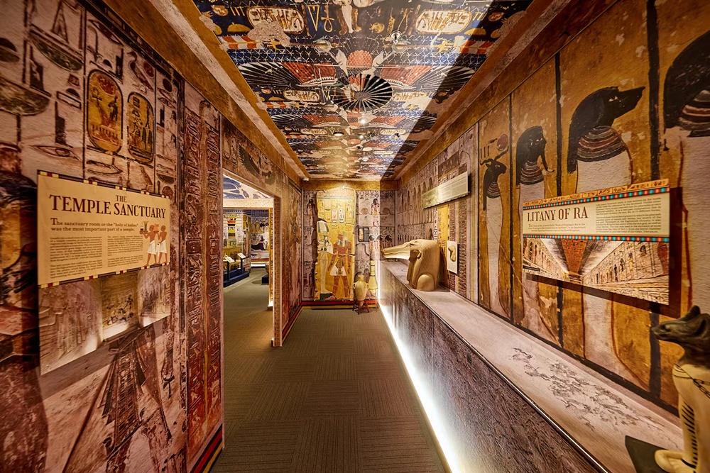 activity_detail_image