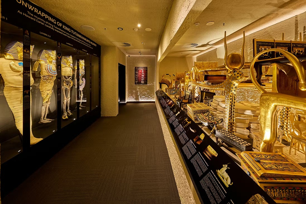 activity_detail_image