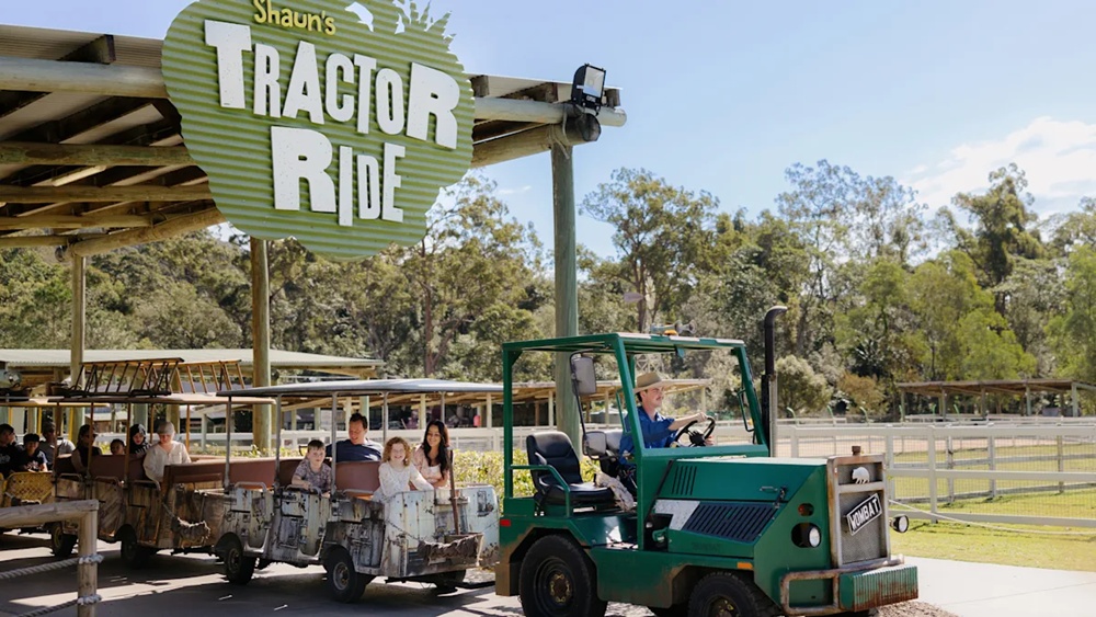 activity_detail_image