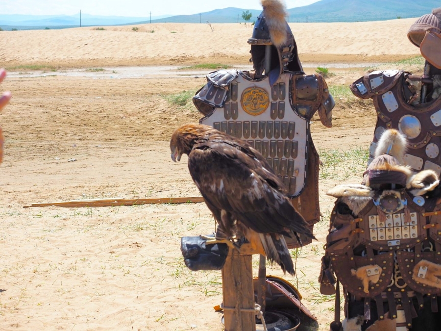 몽골 테를지 국립공원 조인 투어 (한국어 전문 가이드 진행)