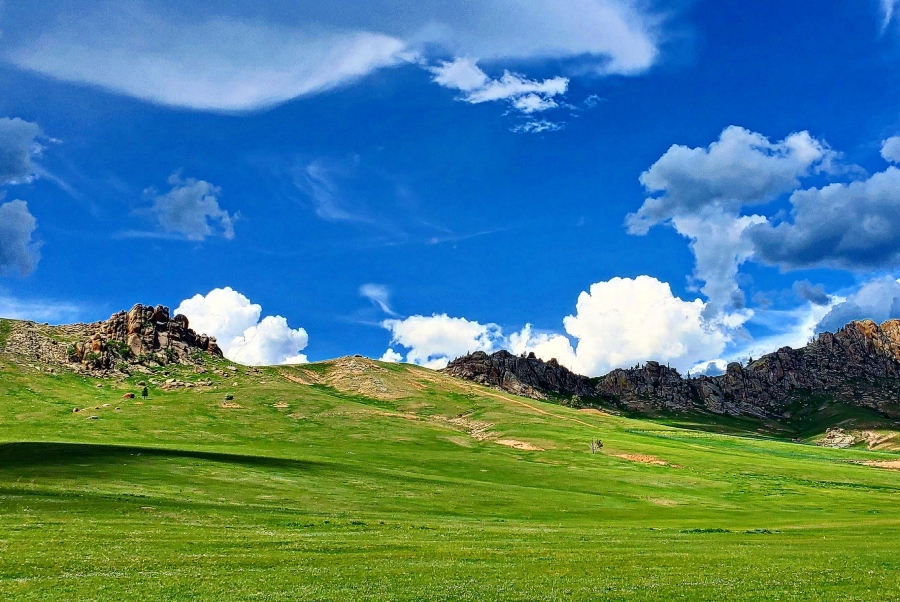몽골 테를지 국립공원 한국어 전문 가이드 단독 투어