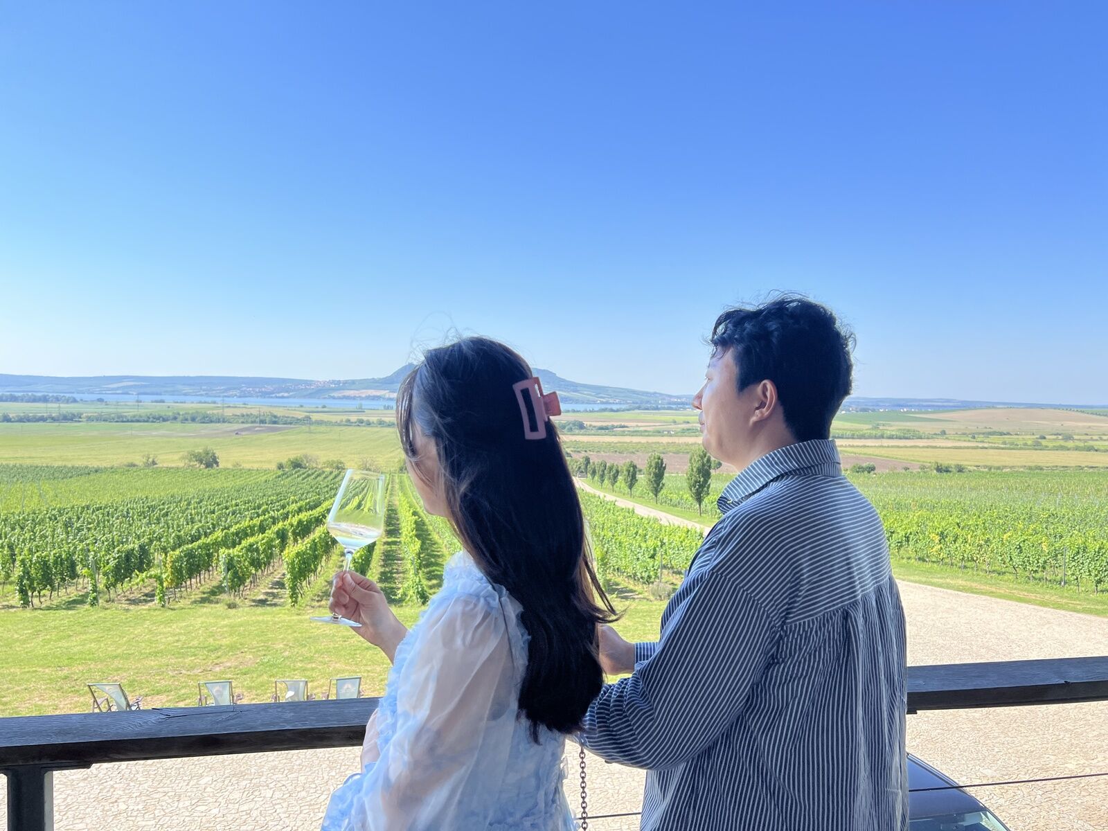 프라하 근교 남부 모라비아 와이너리 투어