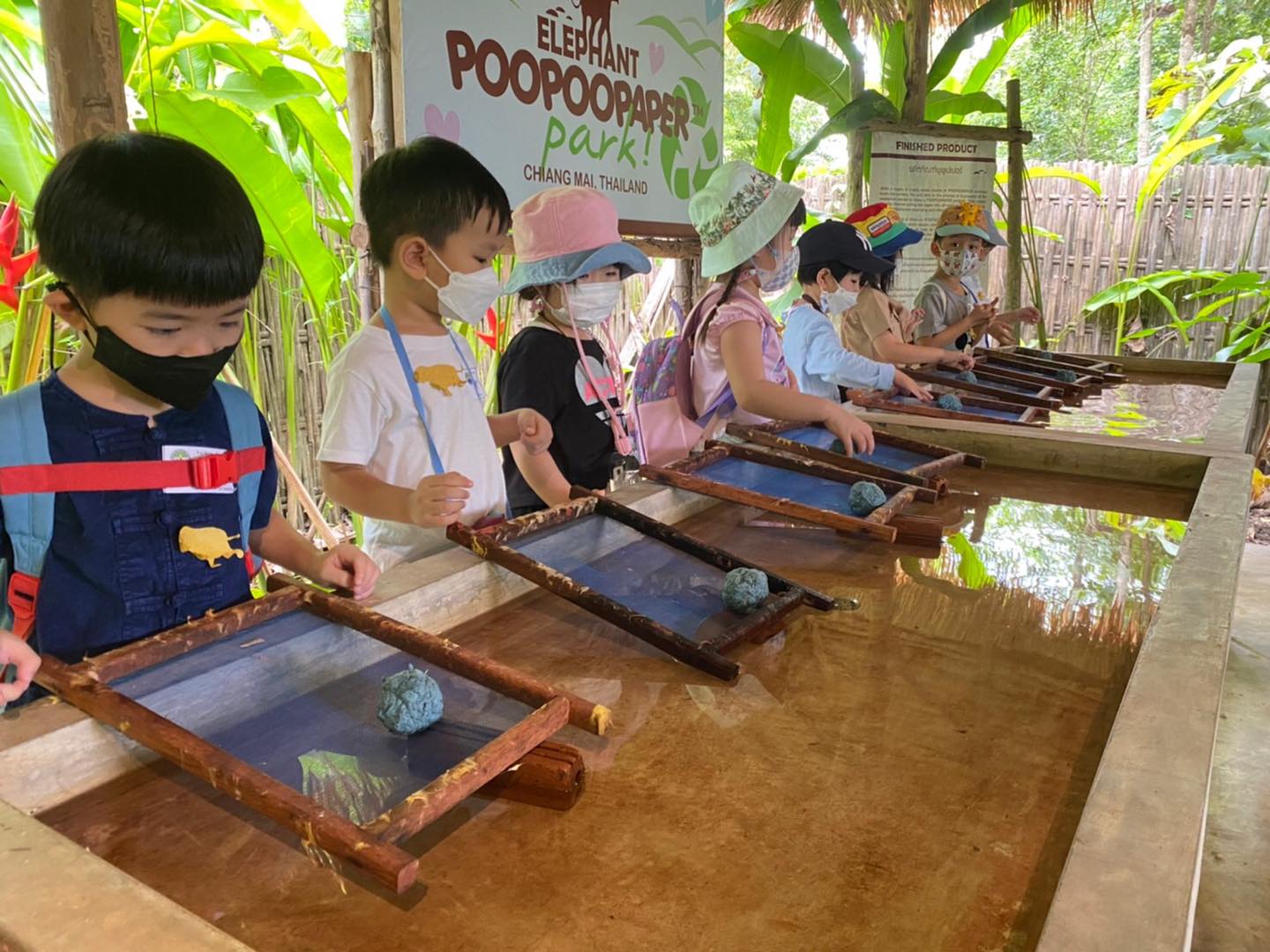 activity_detail_image