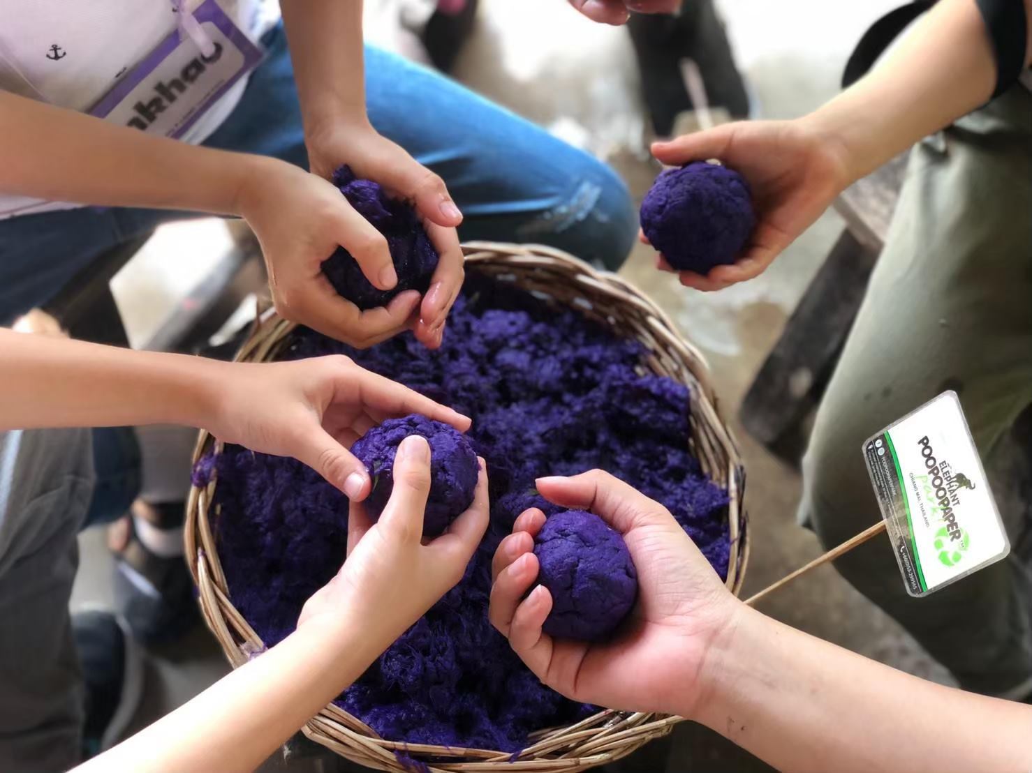 activity_detail_image