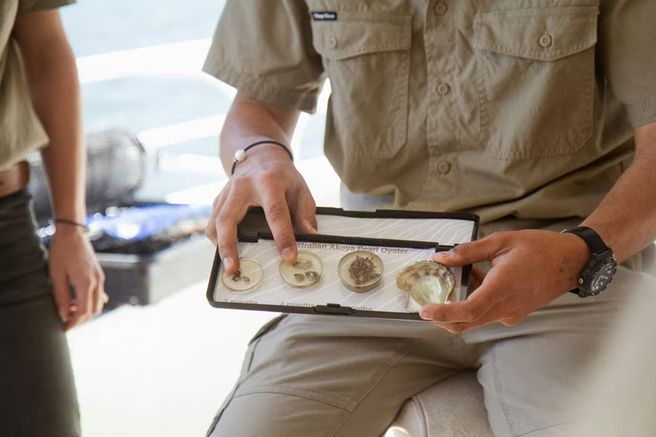 Broken Bay Pearl Farm Tour & Ticket near Sydney