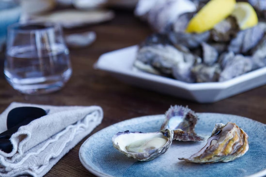 Broken Bay Pearl Farm Tour & Oyster Tasting Experience near Sydney