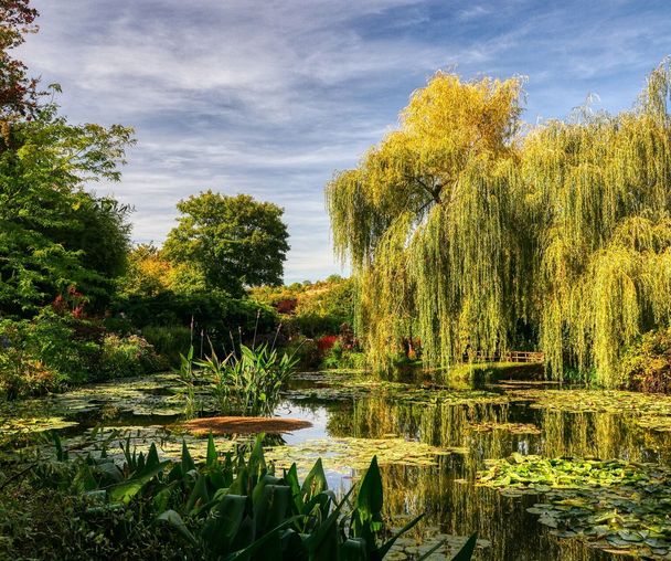 activity_detail_image