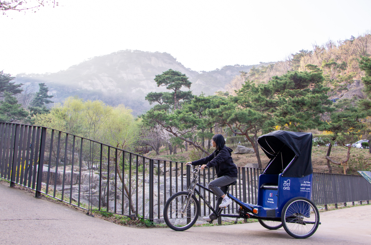 Seoul Bukchon Rickshaw Tour
