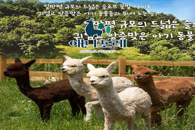 강원 평창 모나용평리조트 애니포레 입장권