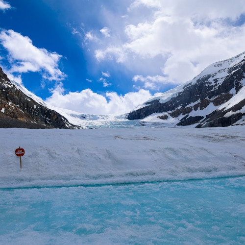 캘거리/밴프/캔모어 출발: 로키 아이스필드 당일 투어 - 보우 호수 & 페이토 호수 & 콜롬비아 아이스필드